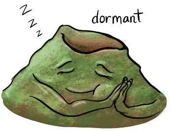 sleeping volcano without any lava or eruption