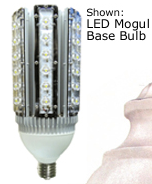 dual head led bulb.png