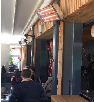 AZ Dual Bulb Wall Mount Infrared Heat Lamp