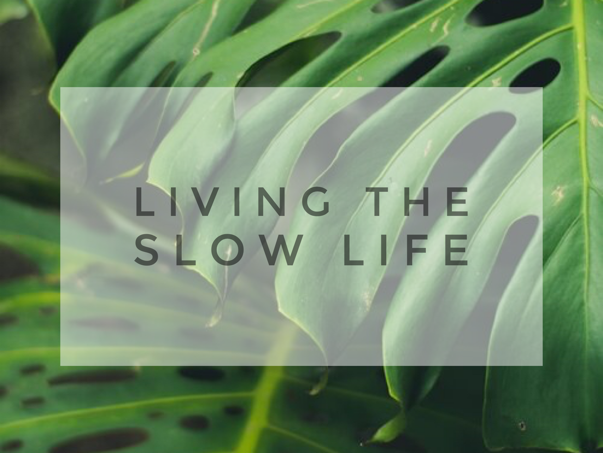 Living the Slow Life