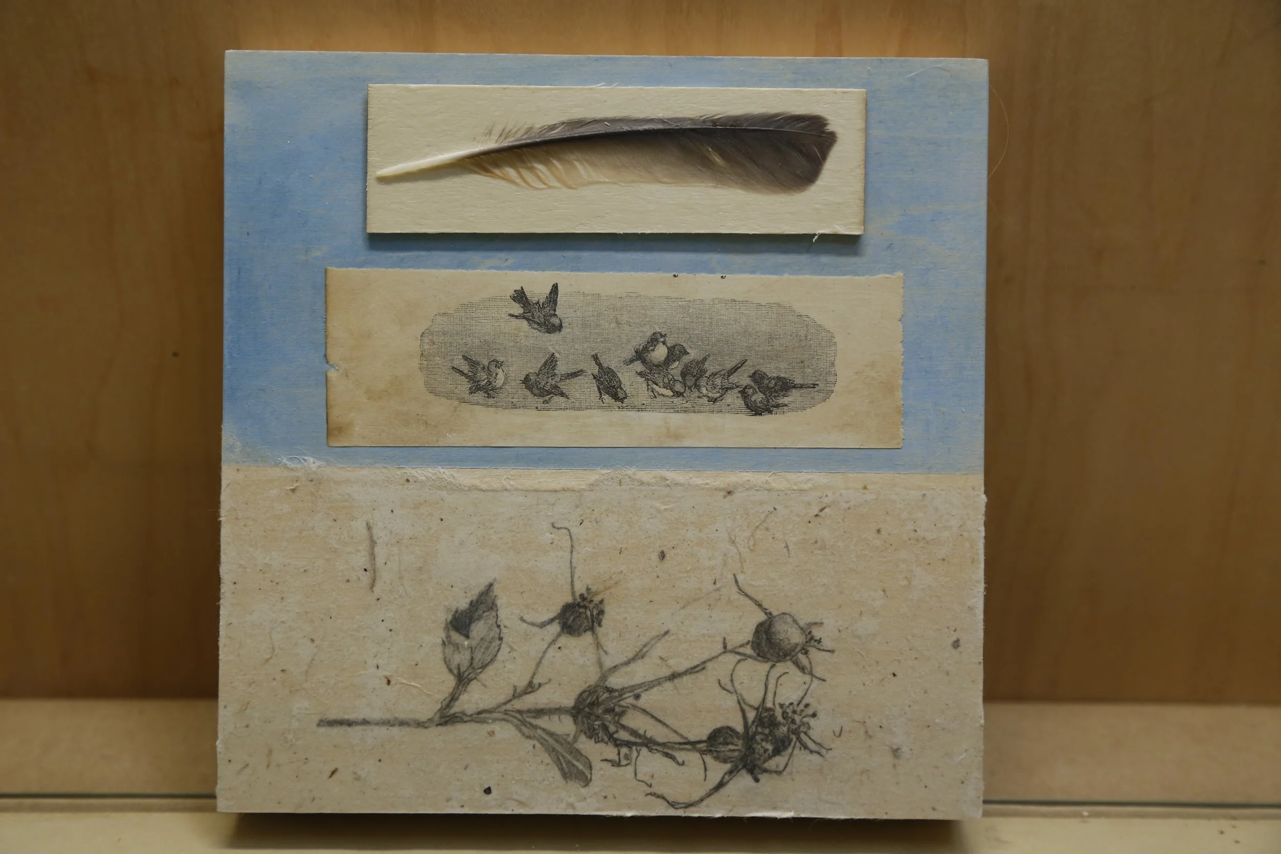 PAPER FEATHERS No. 8, 6" x 6"