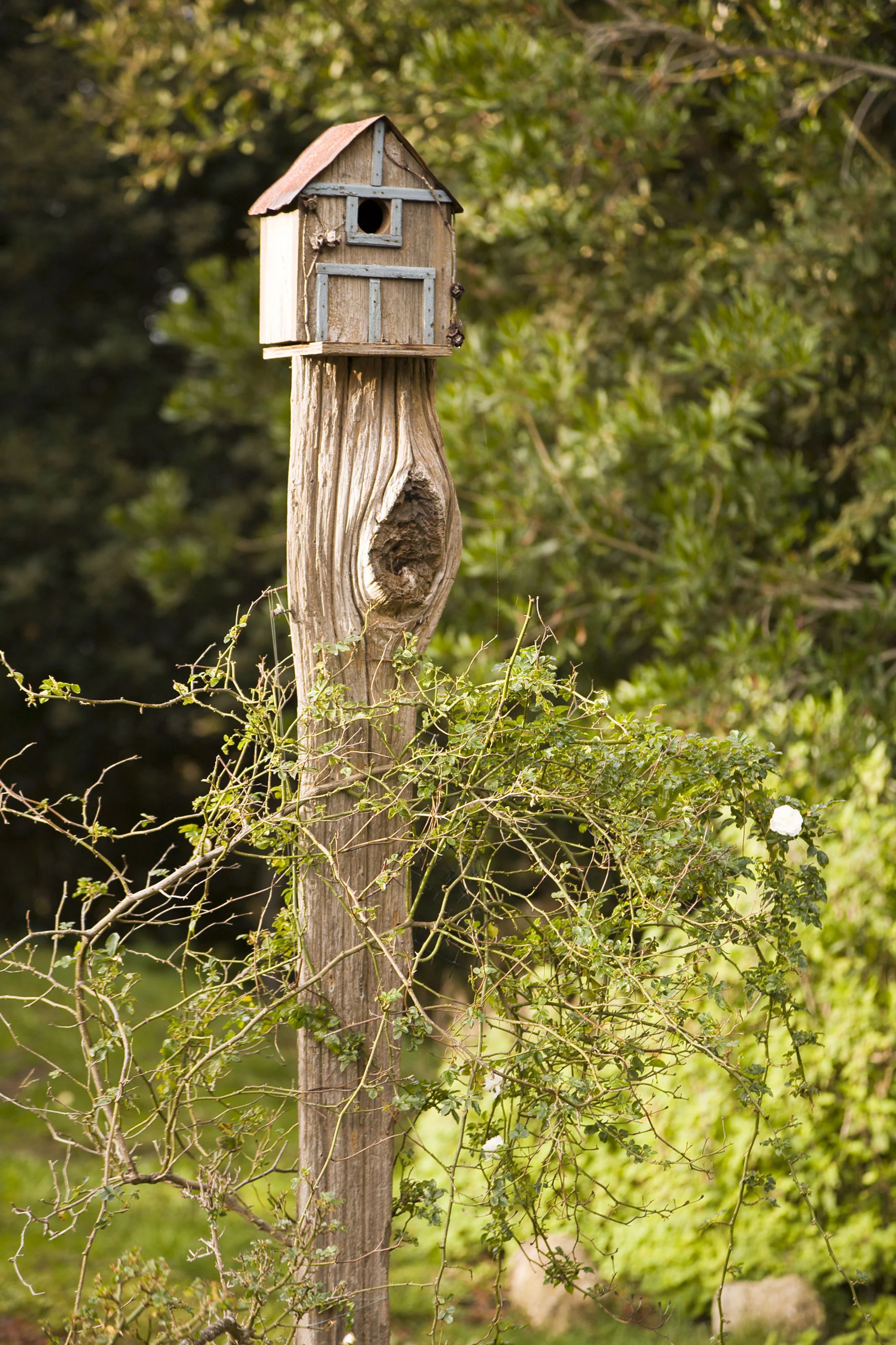 a wooden birdhouse on top of a rustic post