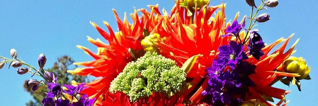 A bright collection of flowers
