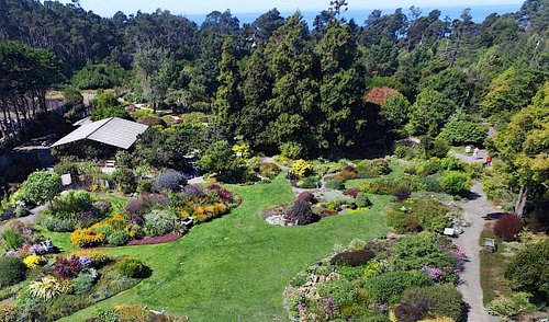 The Mendocino Coast Botanical Gardens with lawns, gardens, and trees, with the Pacific Ocean in the distance.