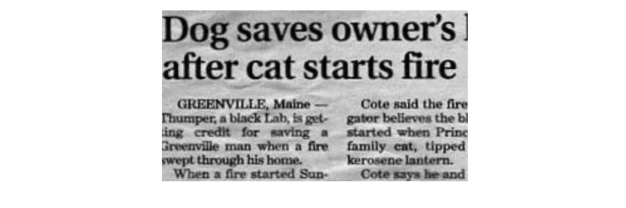 Newspaper clip: Dog saves owner’s / after cat starts fire: Greenville, Maine
