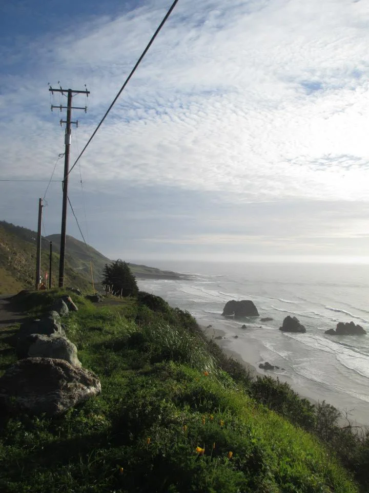Roadside view
