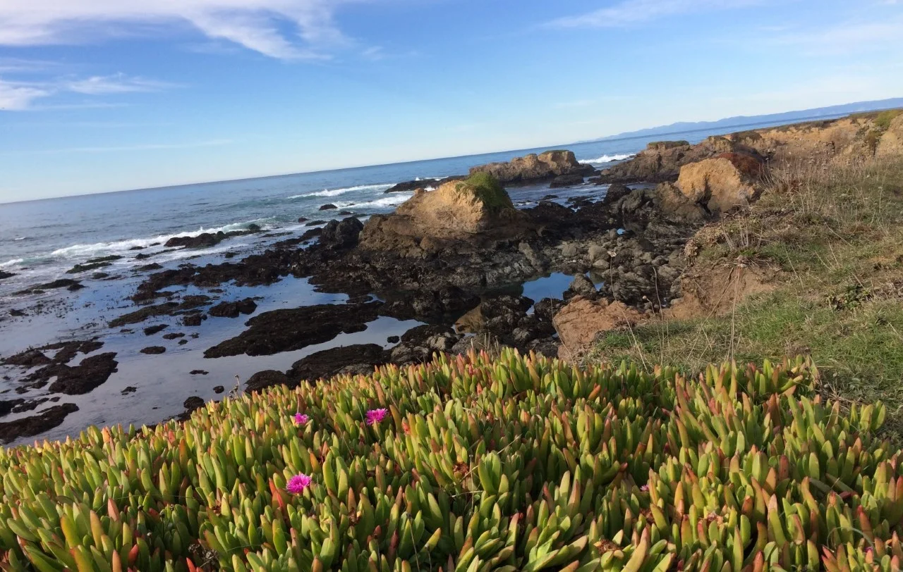 Noyo Headlands in the afternoon