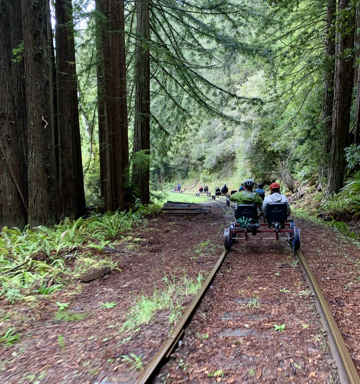 The Skunk Train Rail Bikes