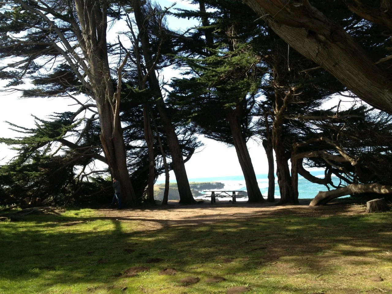 Cypress Grove