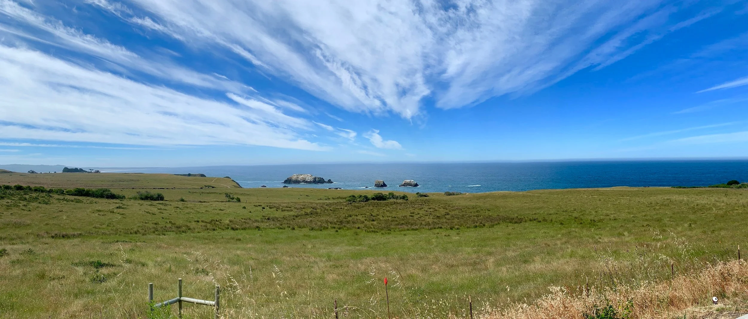 The stunning view from the Newport Coastal Trail.