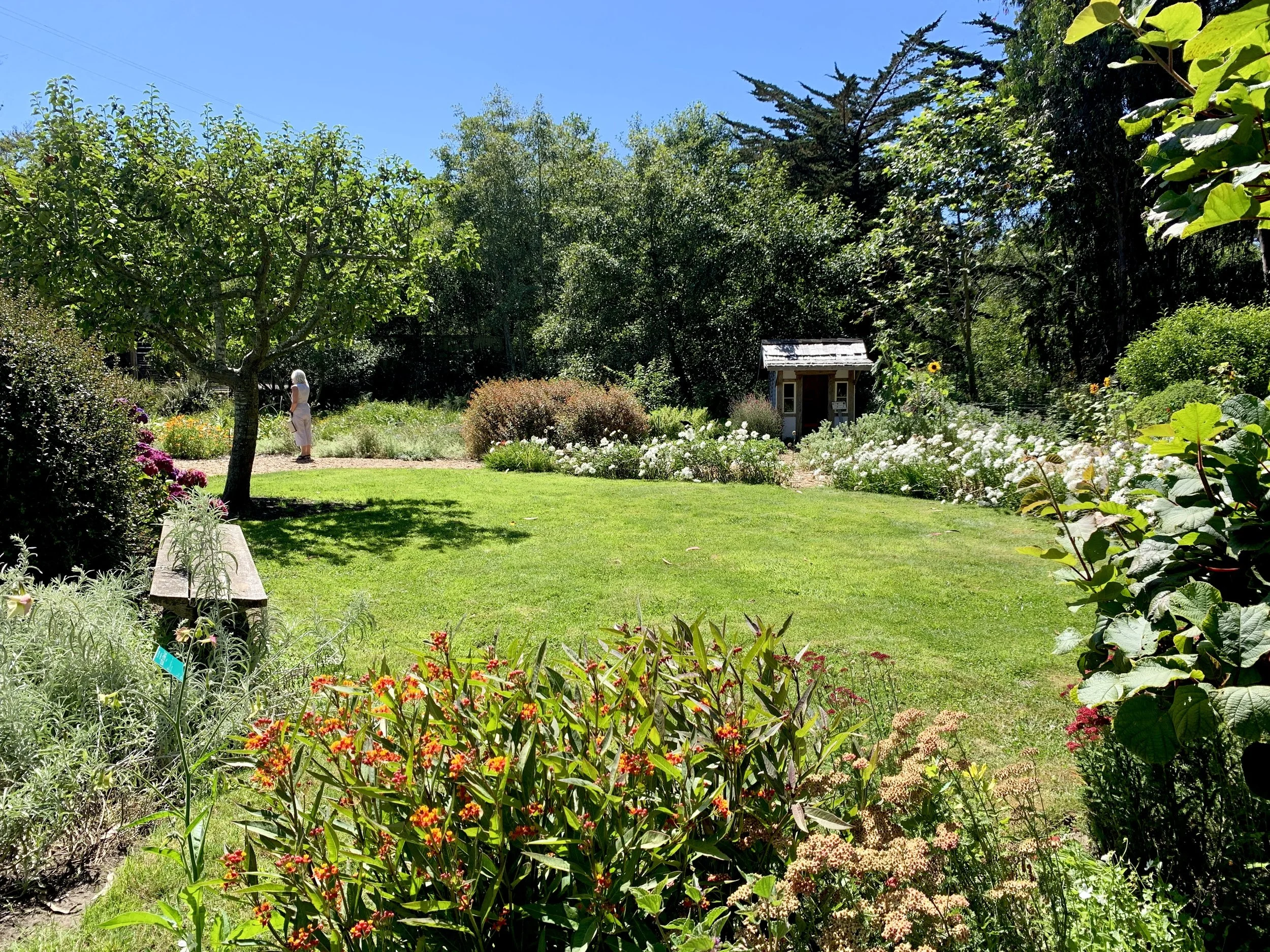 A charming corner in the vegetable garden