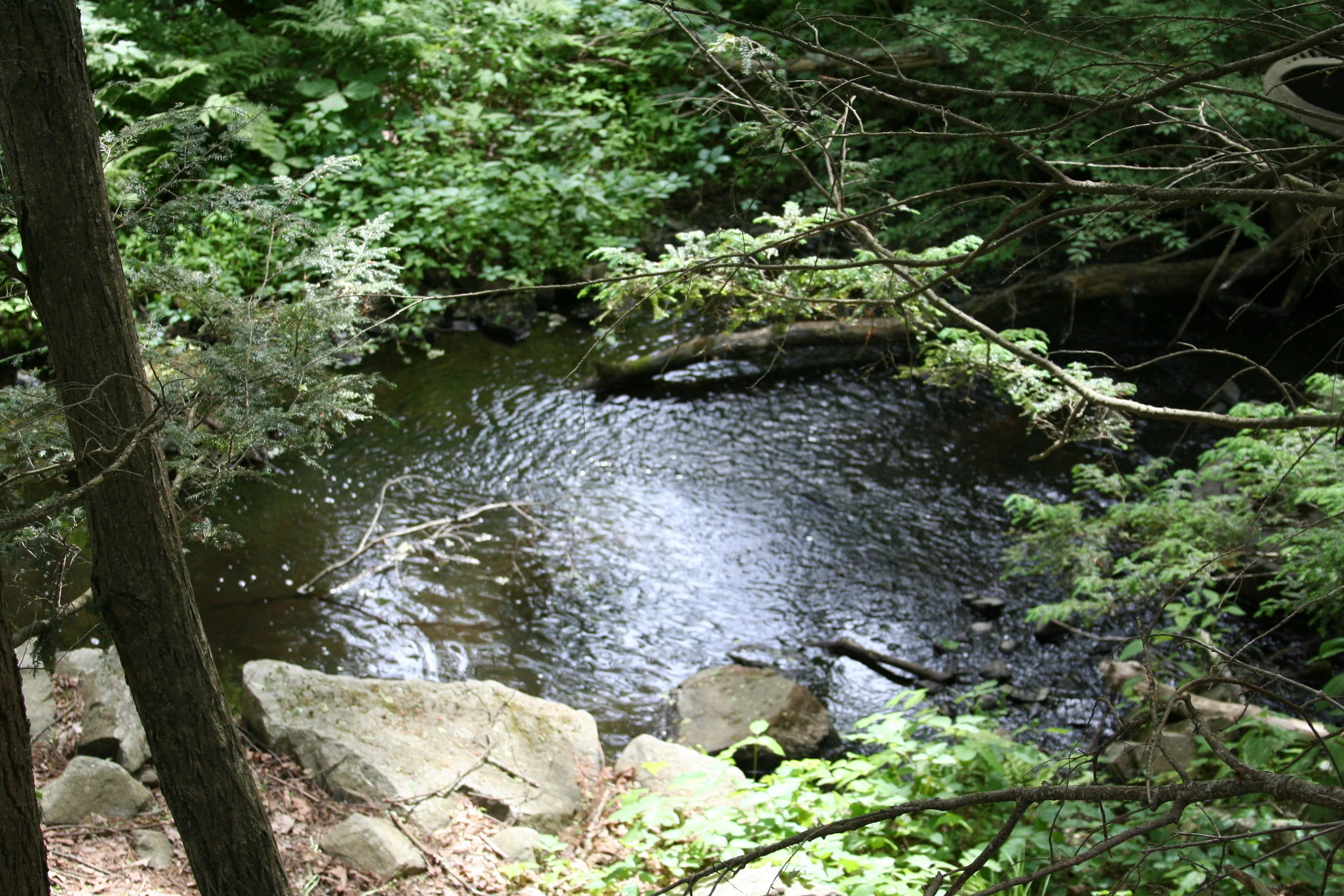 IMG_0023.JPG
