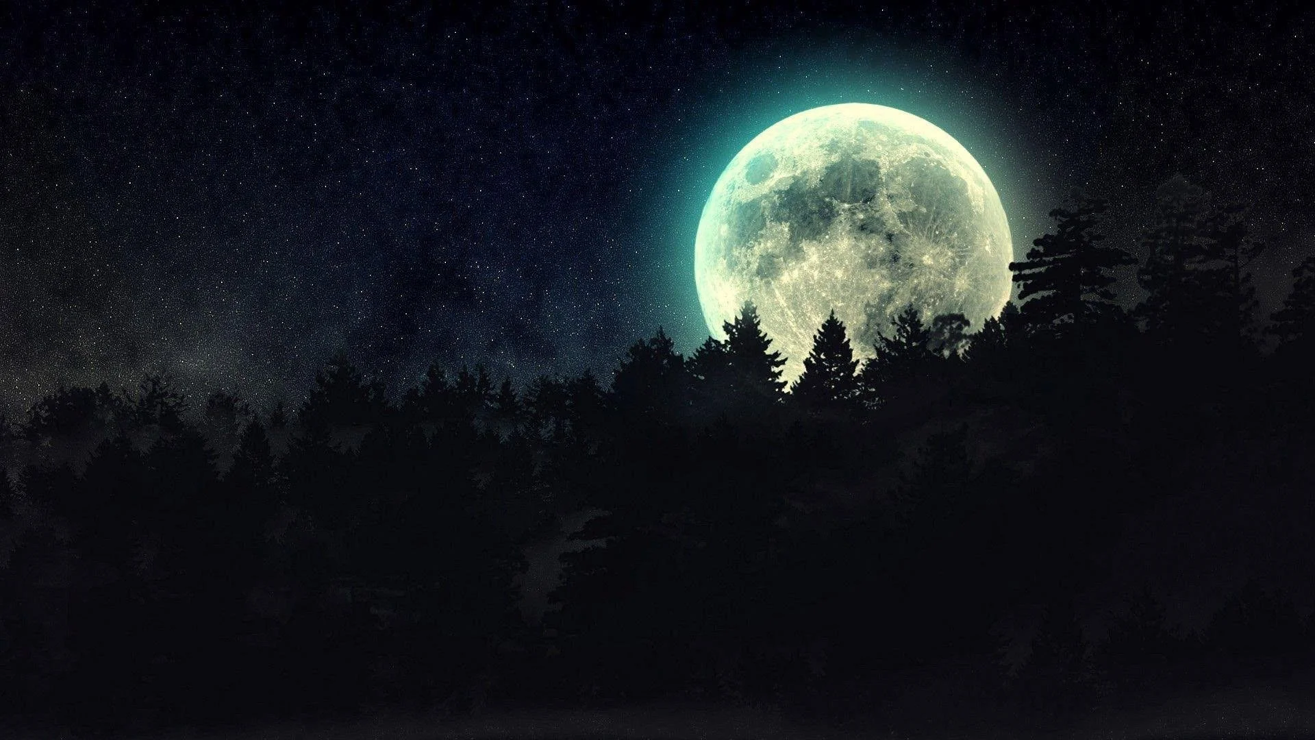 Full Moon Walk