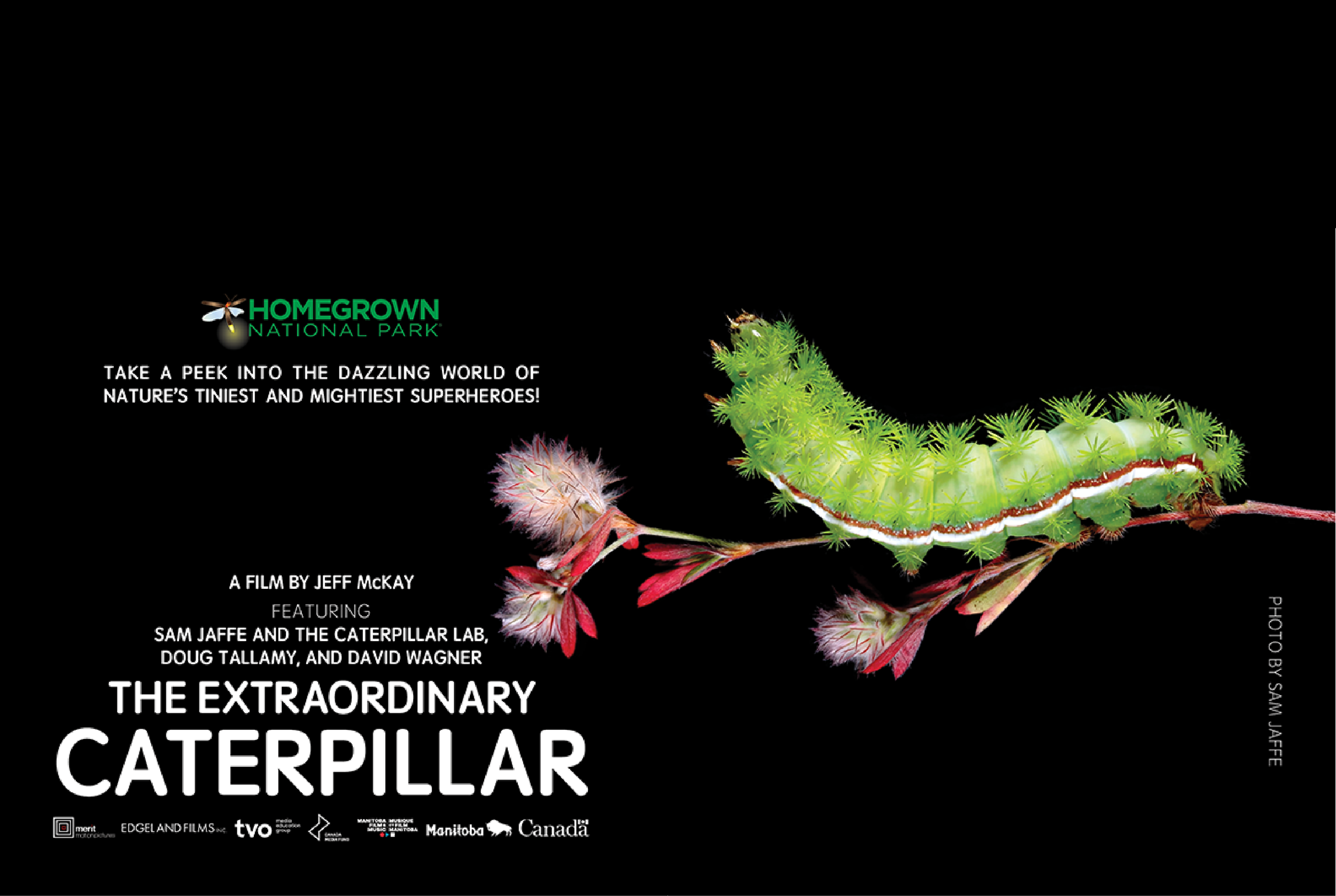 Documentary film screening of Jeff McKay's "The Extraordinary Caterpillar"