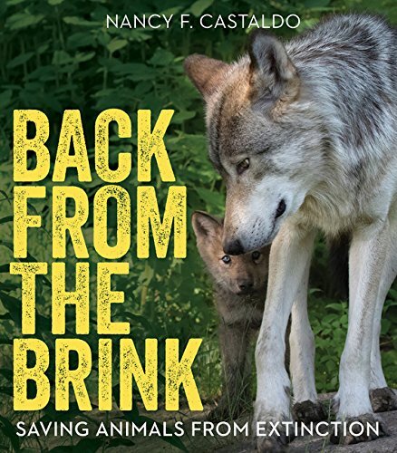 Back from the Brink cover.jpg