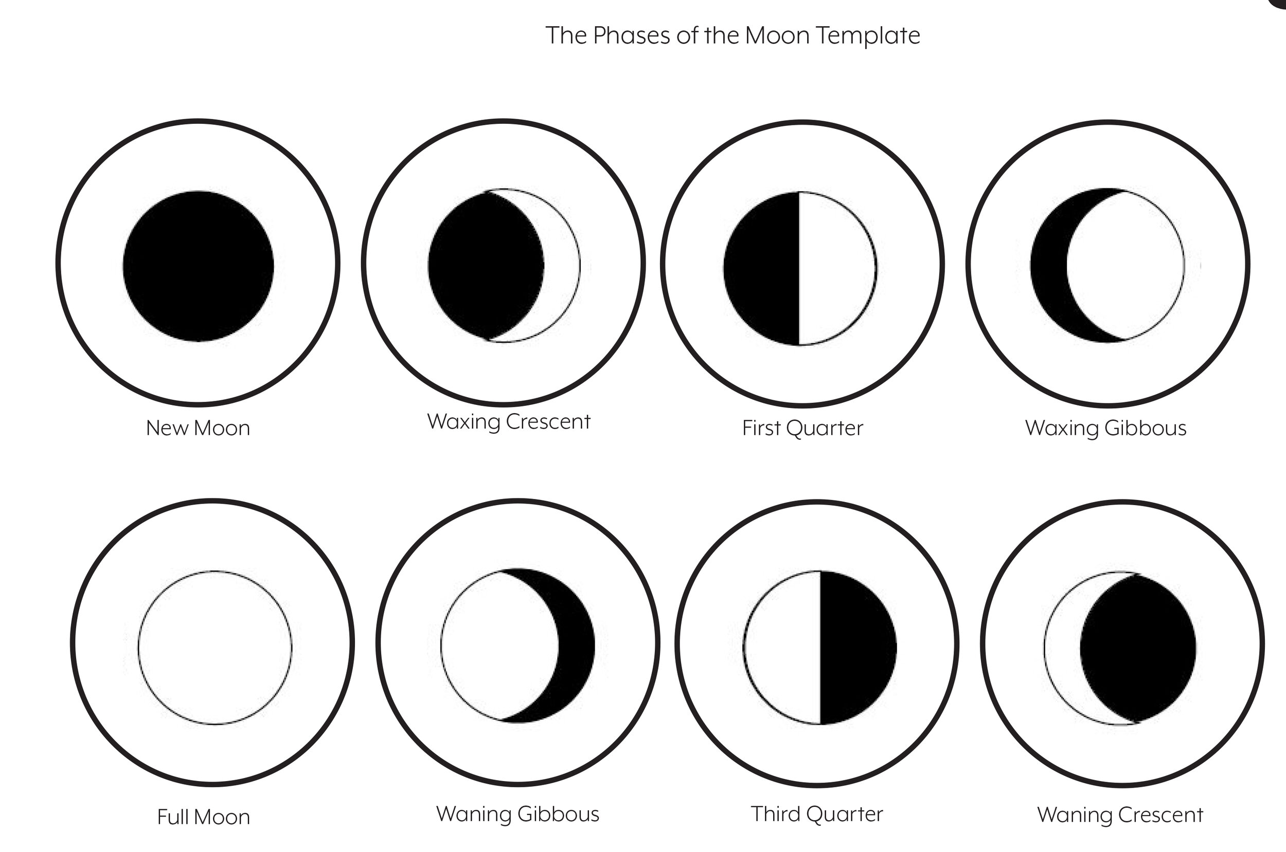 Phases of the moon.jpg