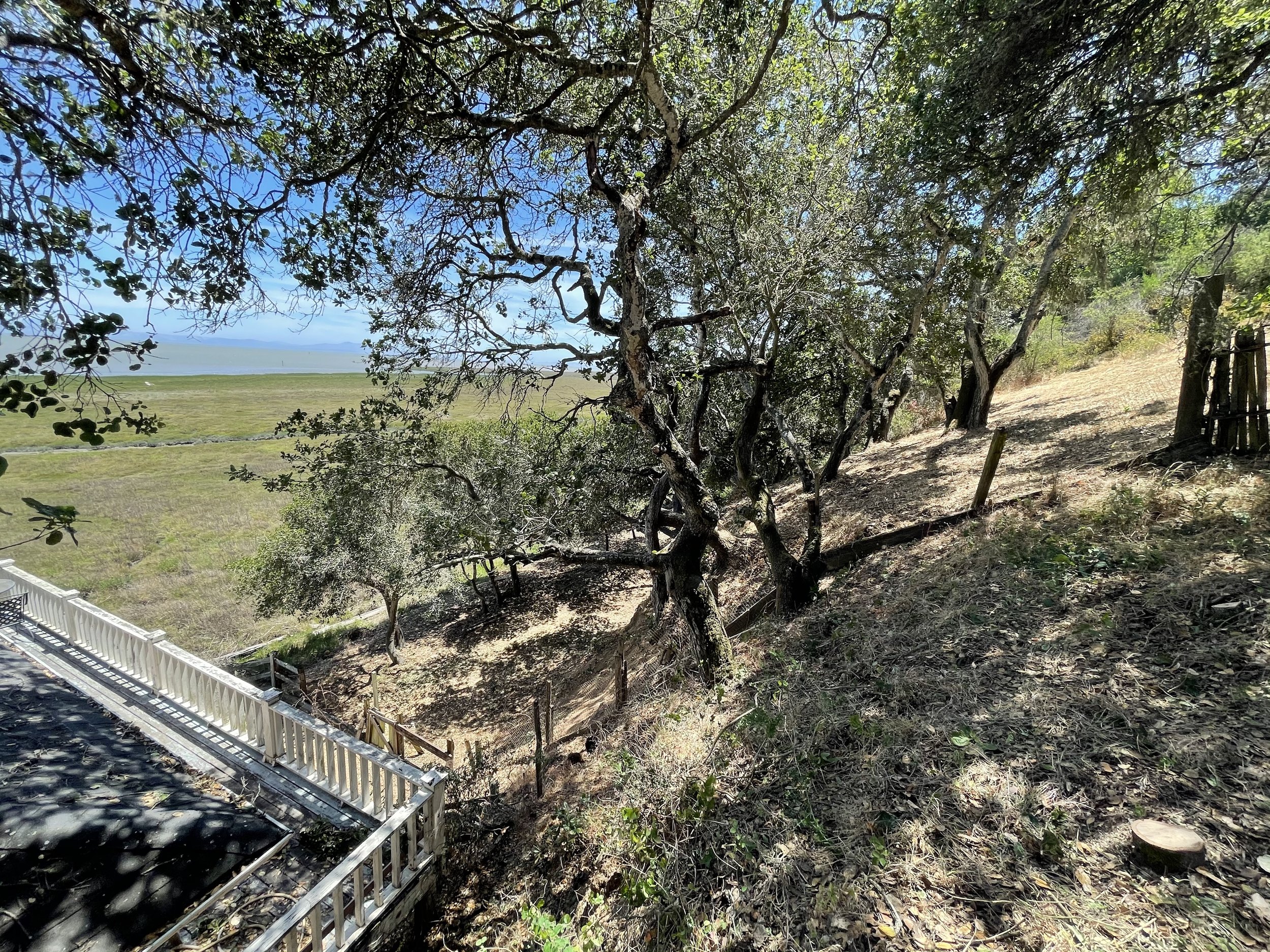 100ft of defensible space