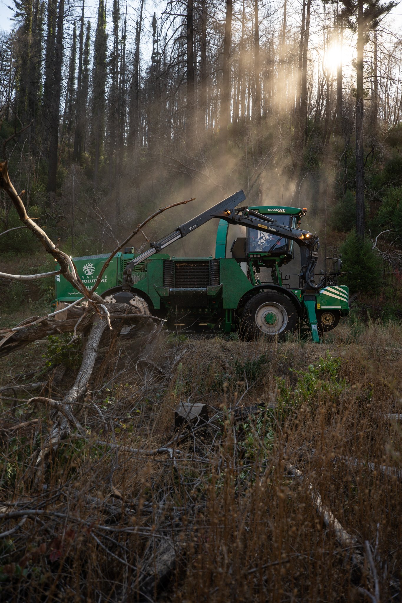 White Sulpher Springs 2.jpg