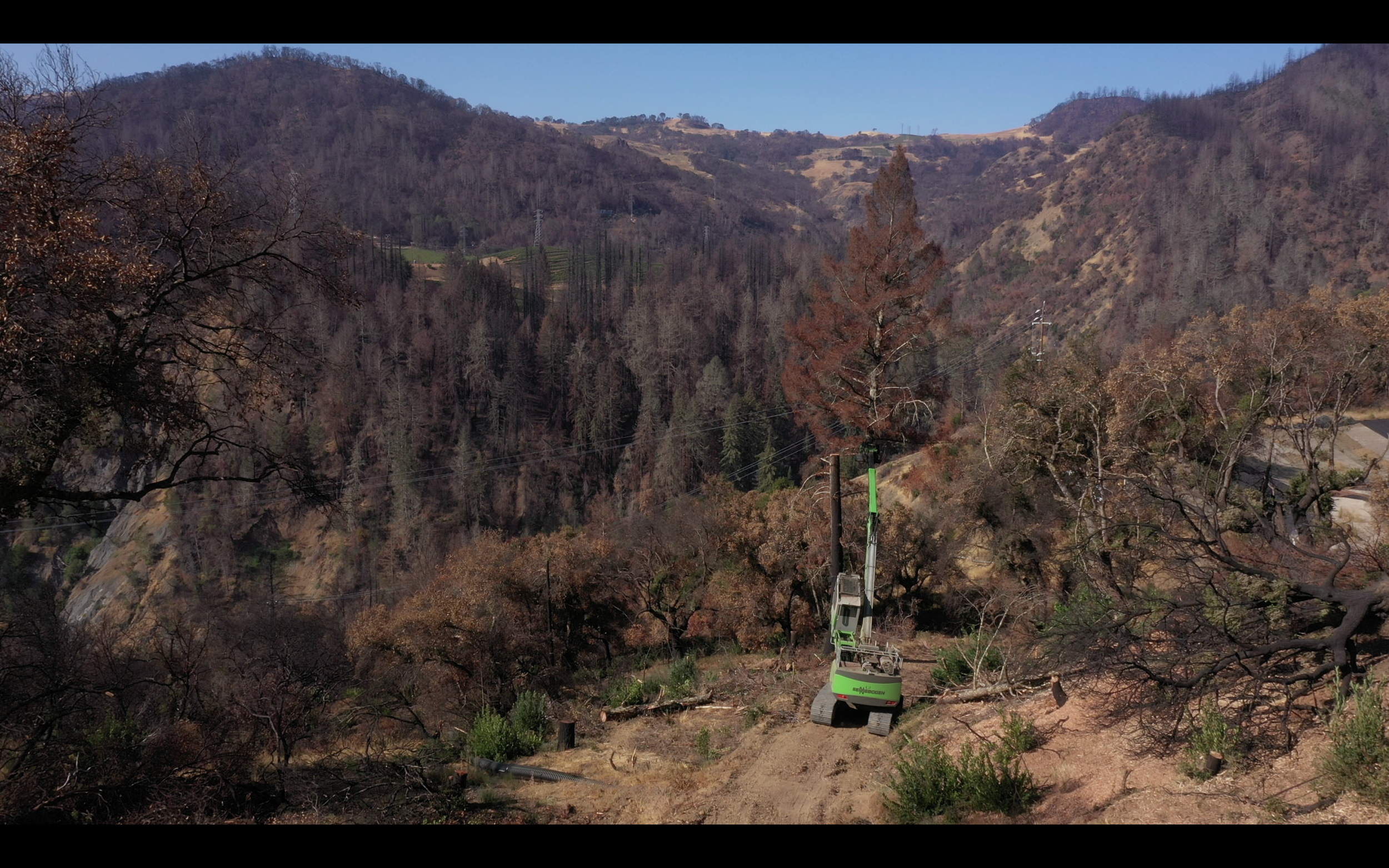 Screen Shot 2021-10-17 at 12.11.21 PM 2.PNG