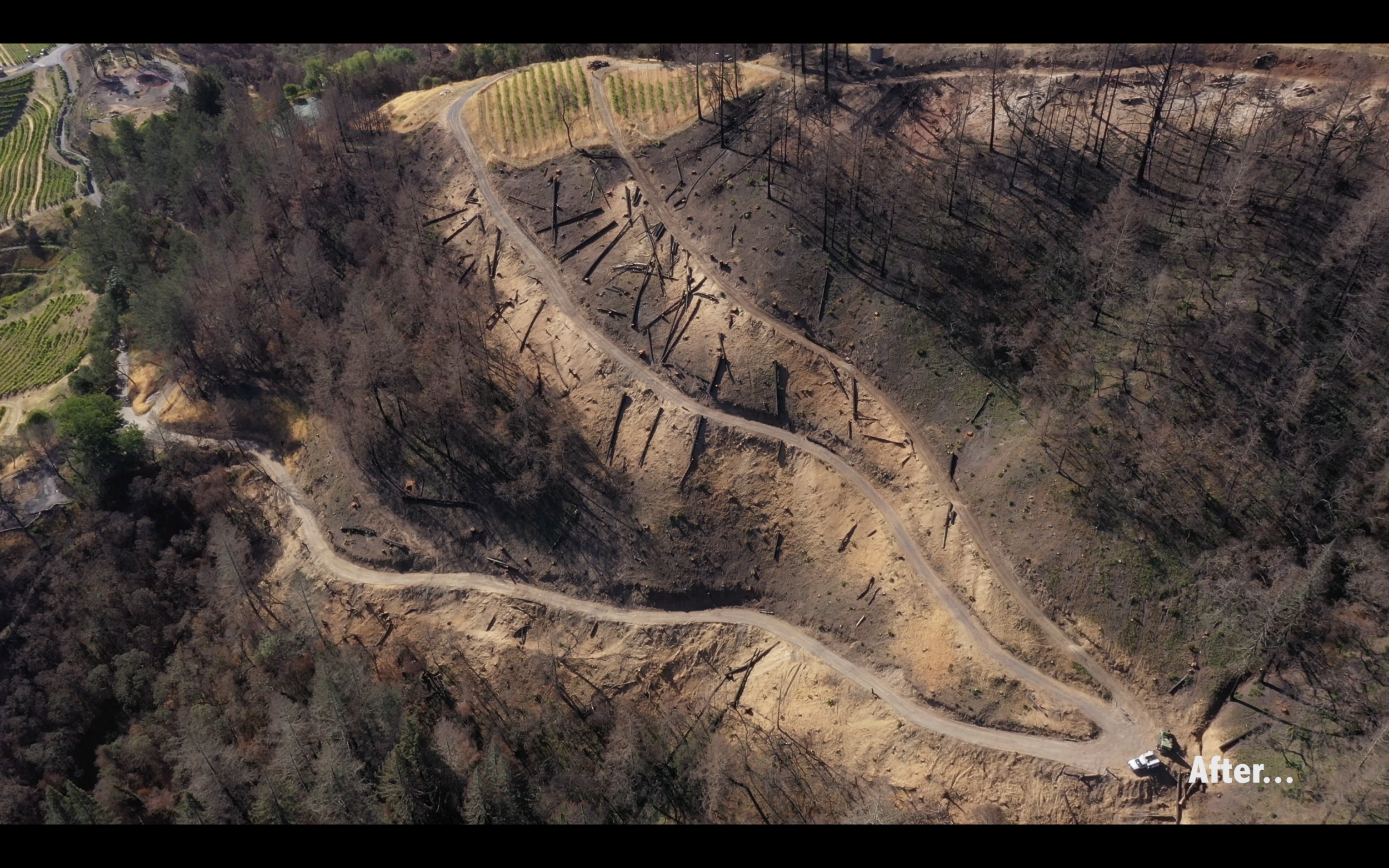 Screenshot 2025-07-30 at 2.59.54 PM.png