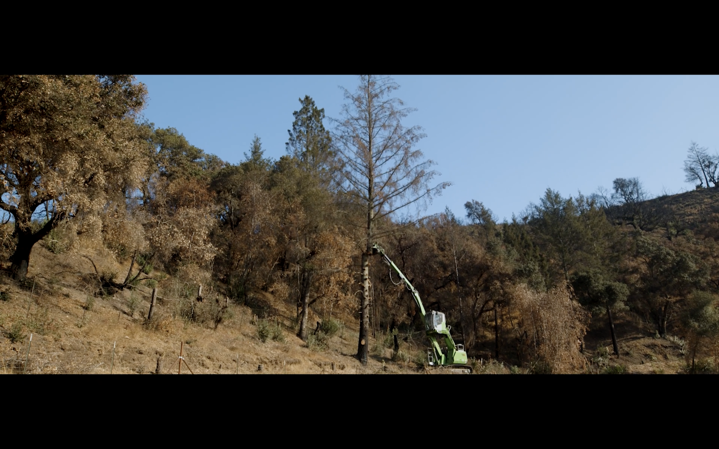 Screenshot 2025-07-30 at 3.09.11 PM.png