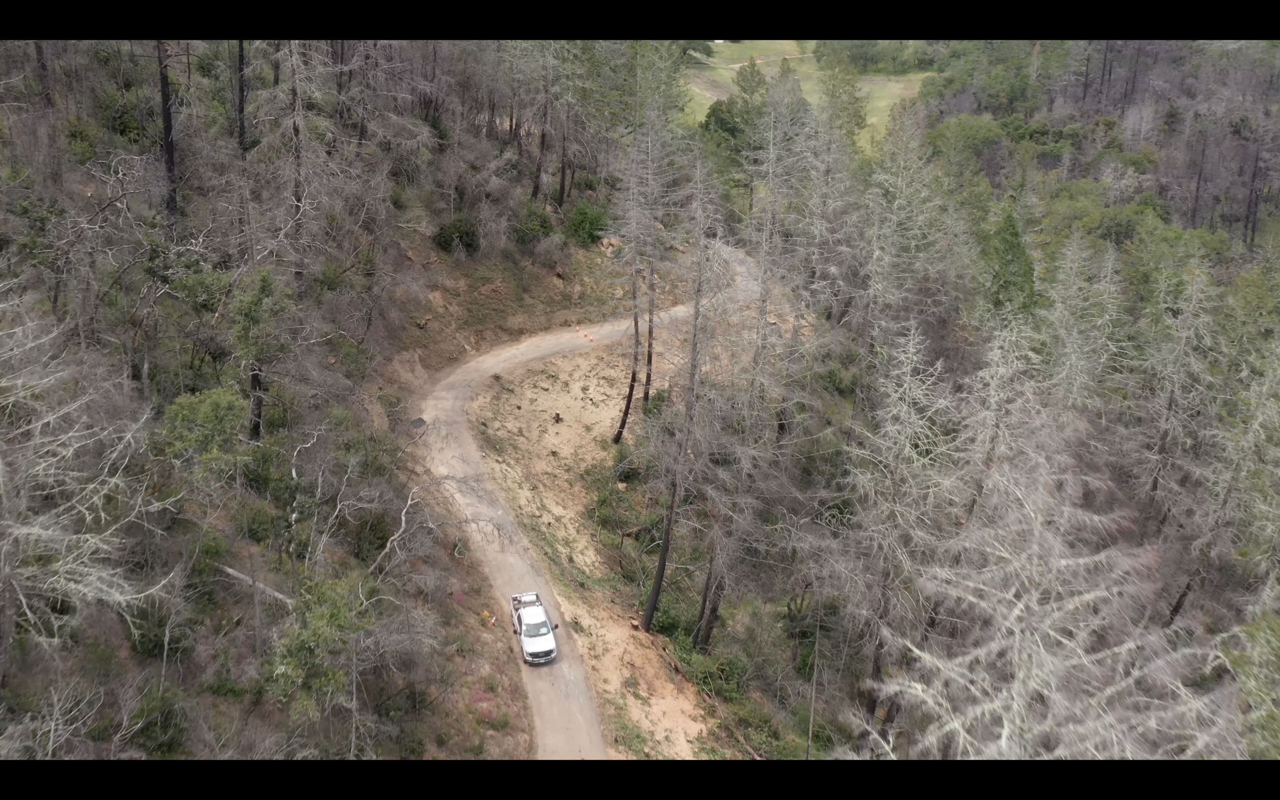 Screenshot 2026-03-18 at 9.54.15 AM.png