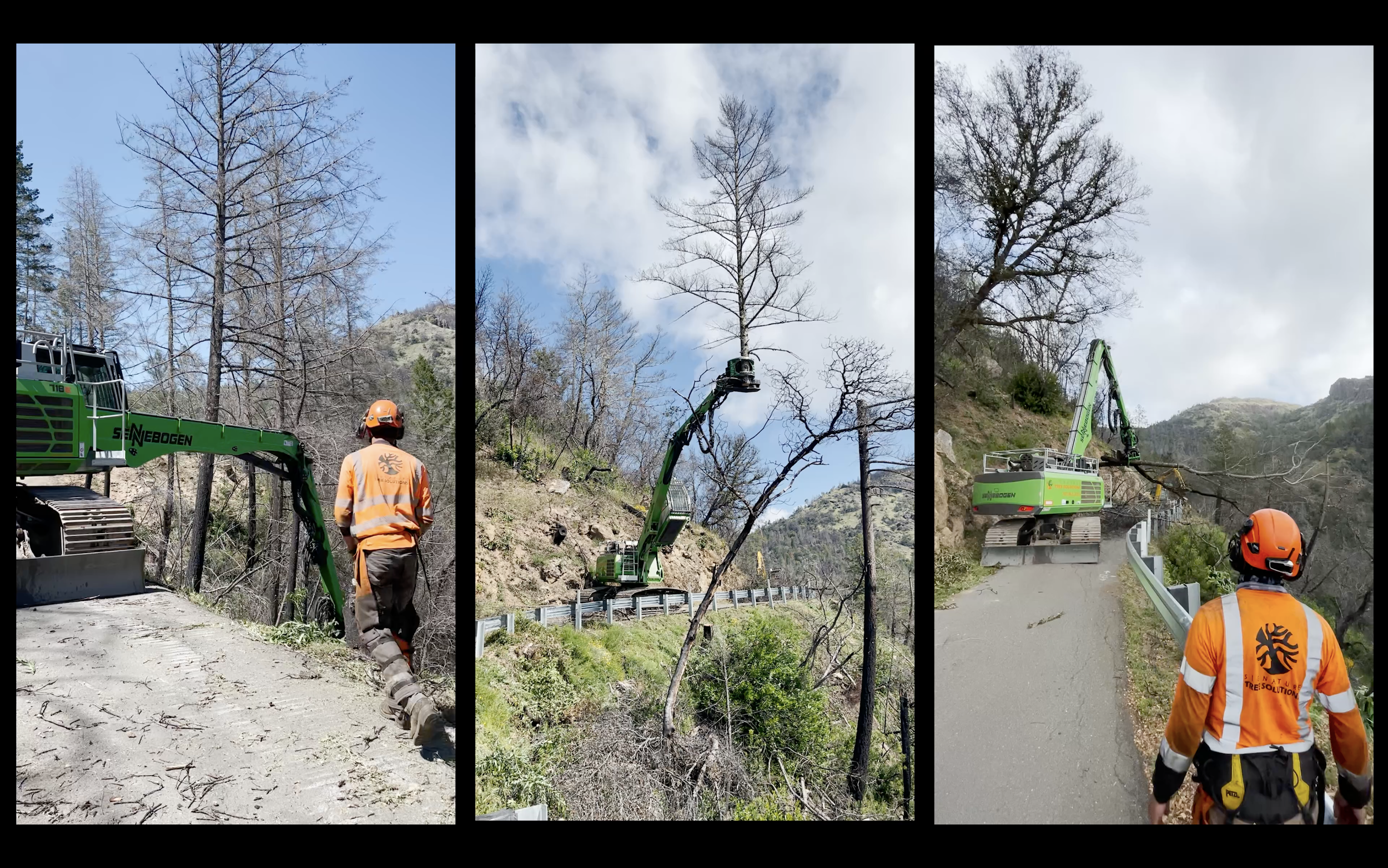 Screenshot 2026-03-18 at 9.55.05 AM.png