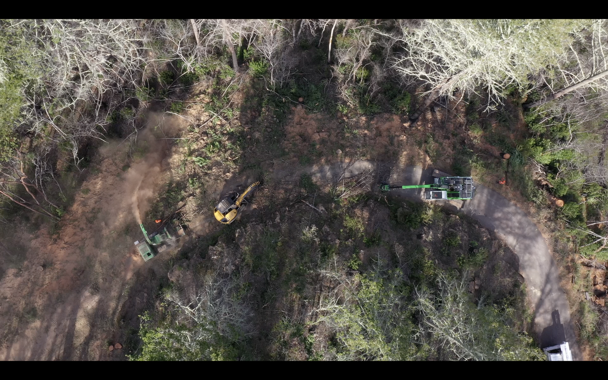 Screenshot 2026-03-18 at 9.54.51 AM.png