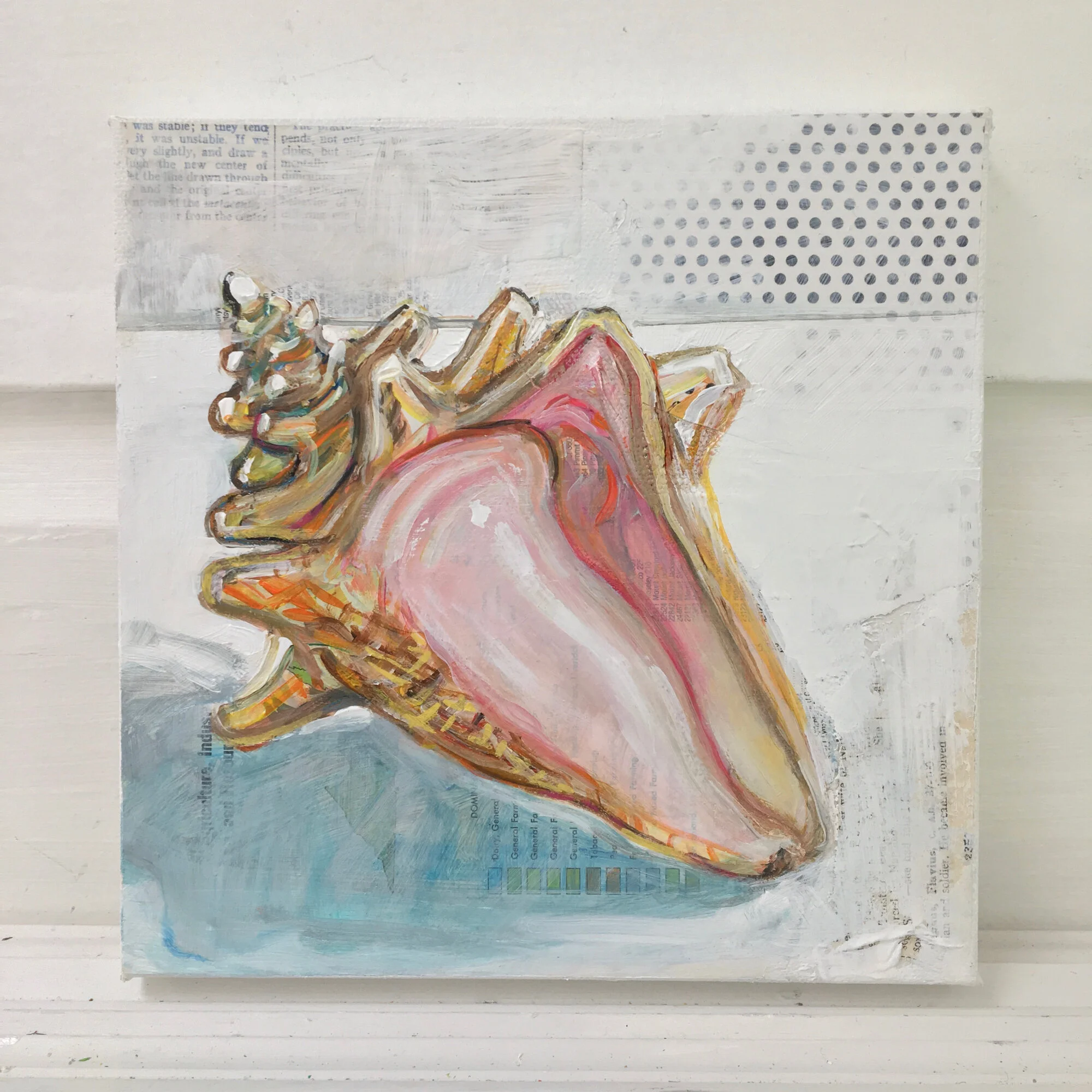 Shell_on_White_shelf_Polly_Jones.jpg