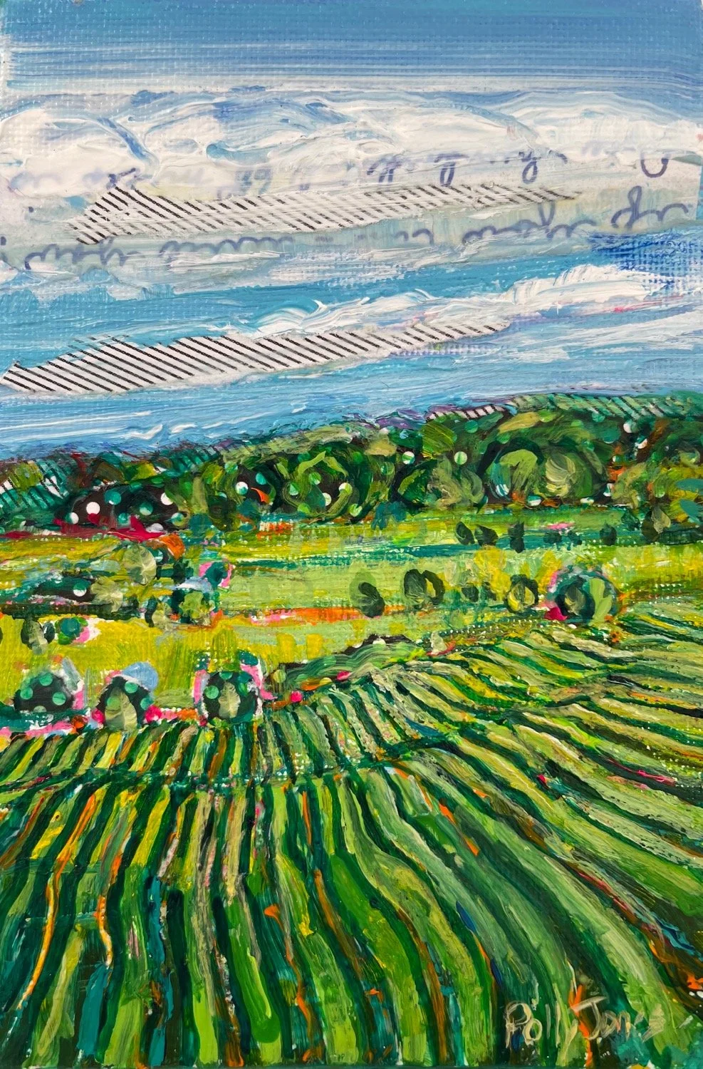 Field_and_Pasture_23_Polly_Jones.jpg