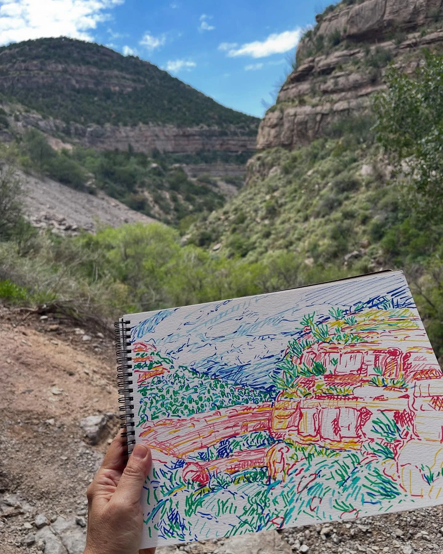 We had a few wonderful days in Cloudcroft New Mexico. It was so good to cool off, relax, and do a little painting together. @kennyjonesart