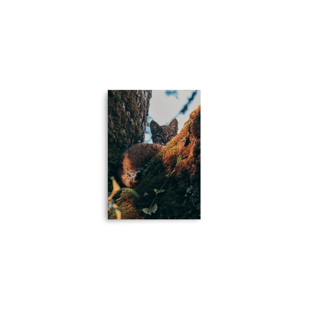 premium-luster-photo-paper-poster-(in)-5x7-front-674cf8b151985.jpg
