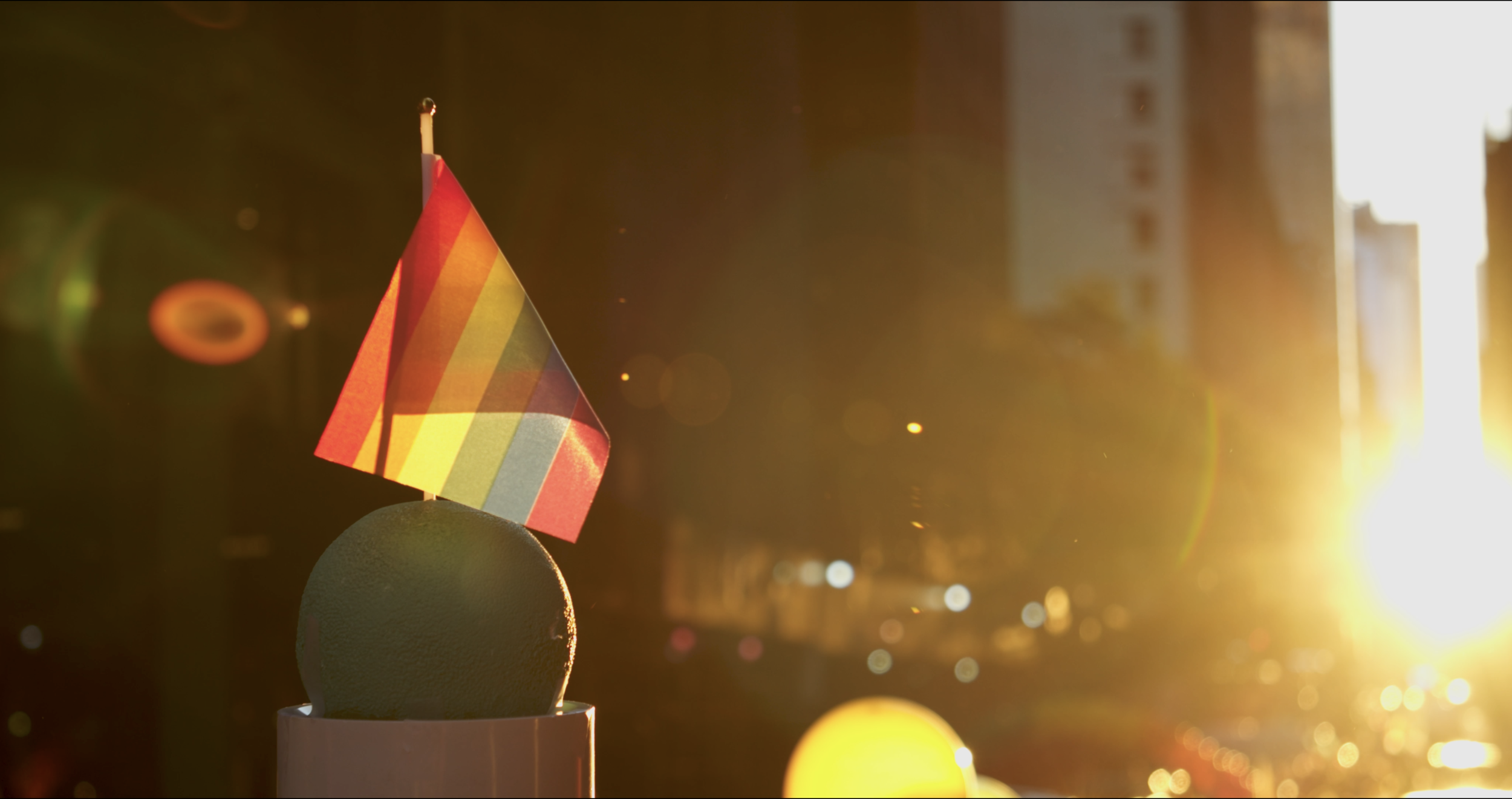 Screen Shot 2020-11-18 at 11.47.33 AM.png