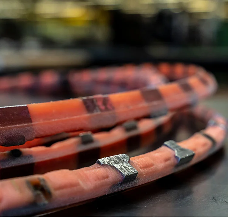 belt-segment.jpg