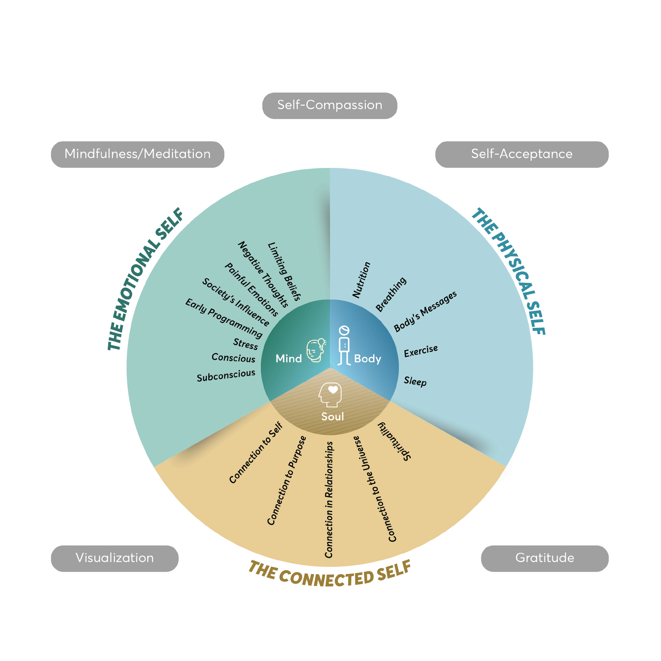 wholifewheel-01.png