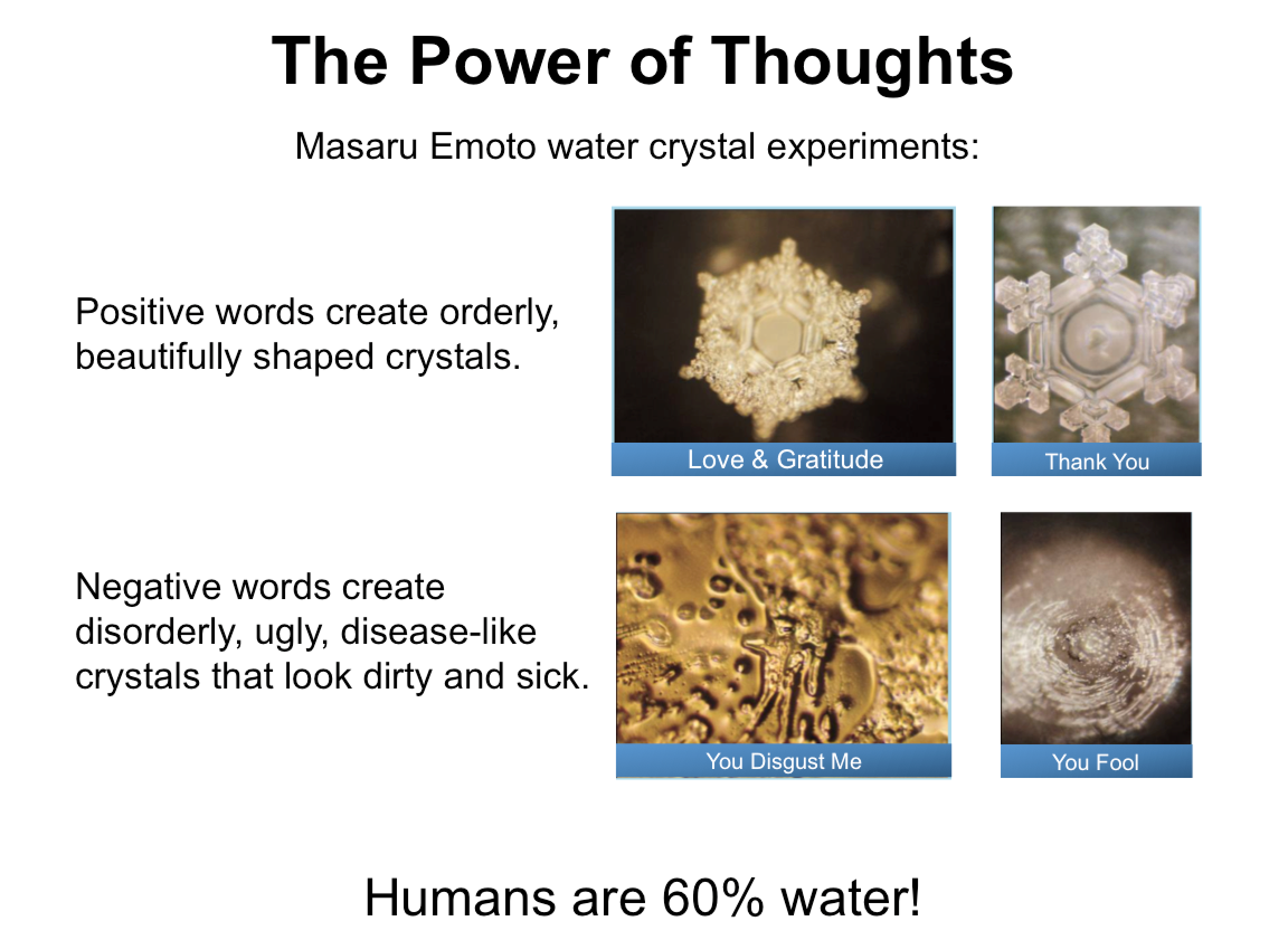 MasaruEmotoCrystals.png