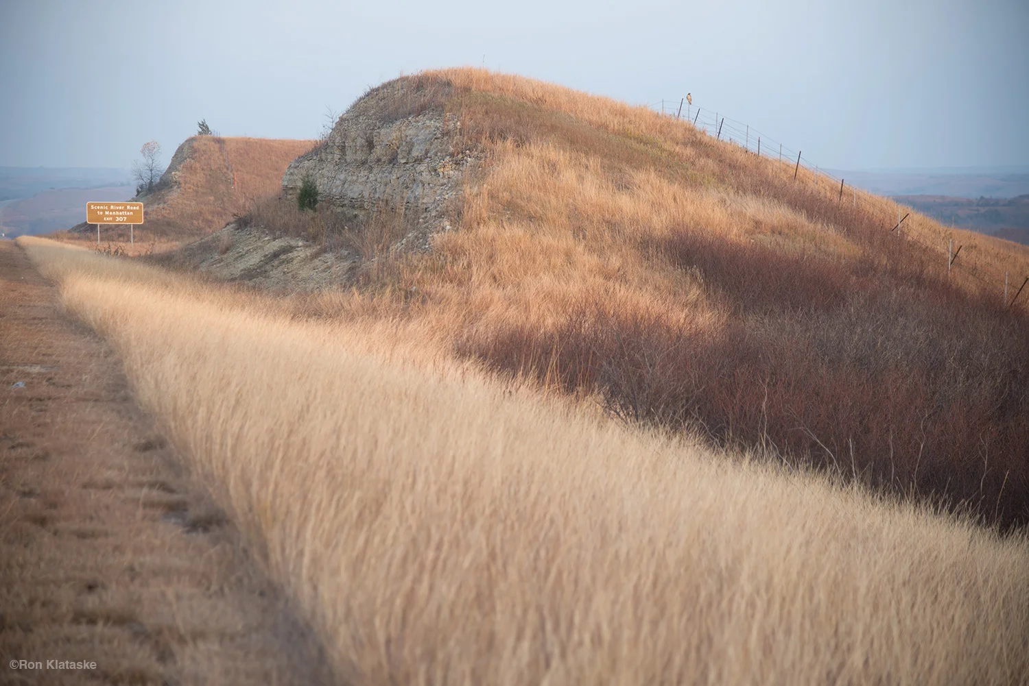 OWB © Ron Klataske.jpg
