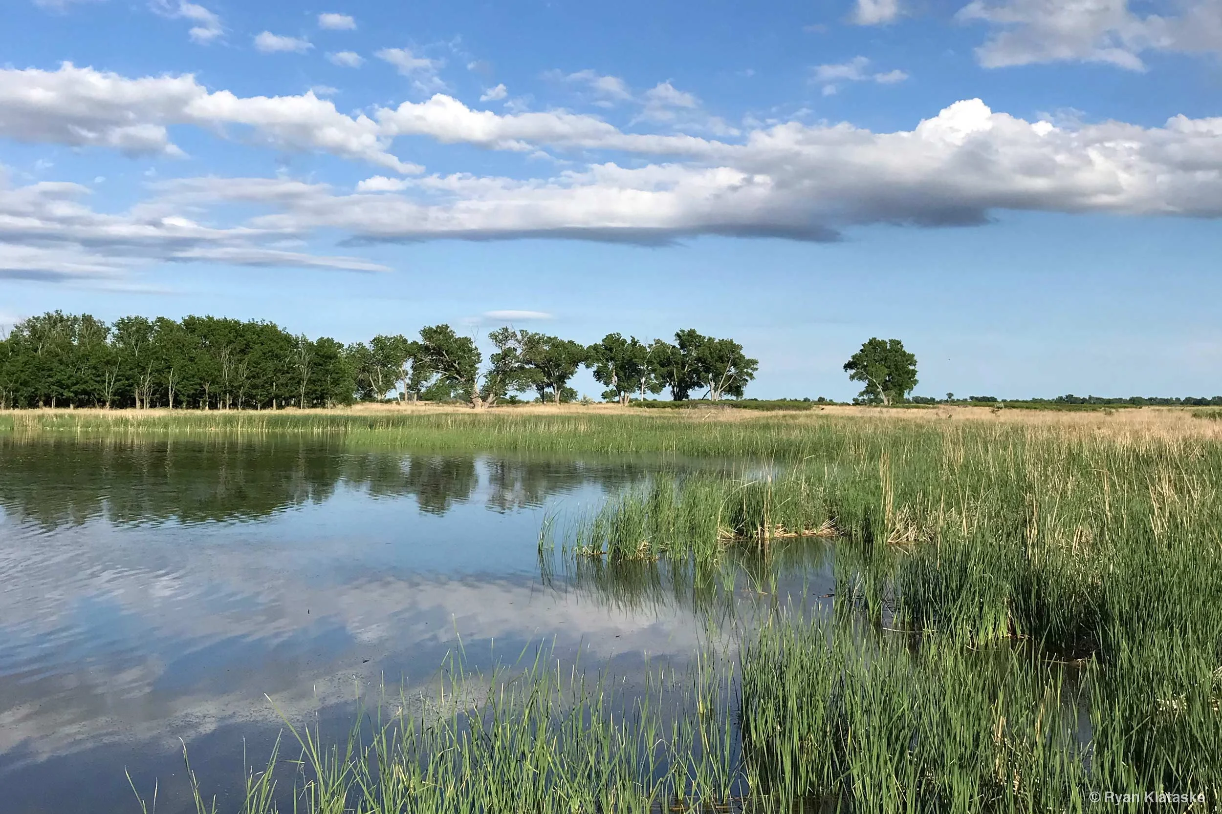 Quivira National Wildlife Refuge. Photo by Ryan Klataske