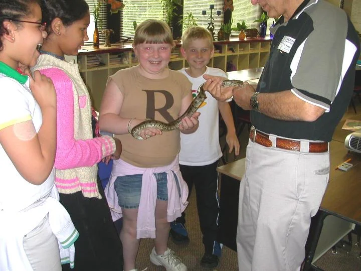 Bob Mangile, of Sperry-Galligar Audubon Society in Pittsburg, Kansas, introduces a Prairie King Snake to some delighted children at Lakeside Grade School.