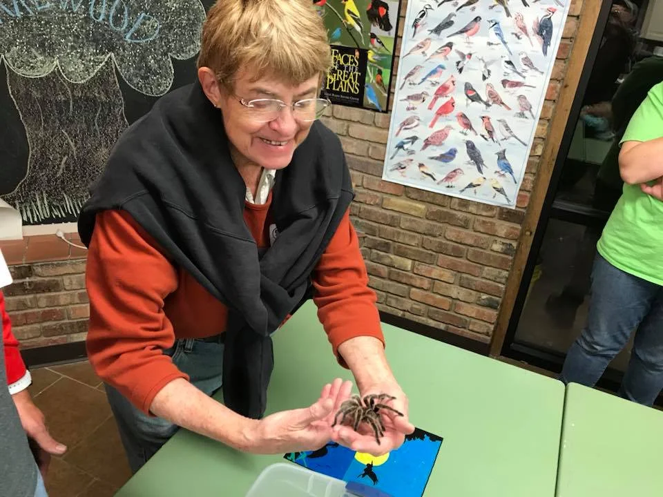 Smoky Hills Audubon Society recently hosted a well attended "spider walk," though the program was forced indoors when rain and cold kept nocturnal spiders in their burrows. However, the presenter had brought numerous "pet" spiders with him, so when the lights were turned off, everyone got to see the amazing glow of spider eyes. Here, with the lights turned back on, AOK board chair Margy Stewart holds a friendly pet tarantula.