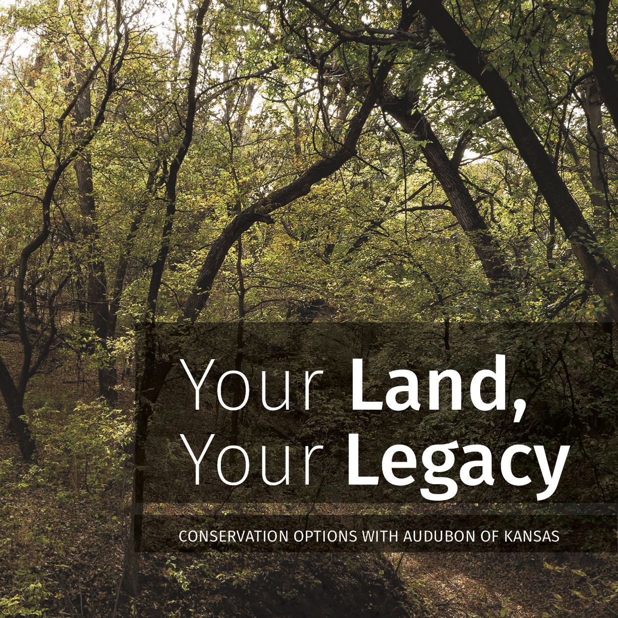 Your Land, Your Legacy AOK Brochure Cover.jpg