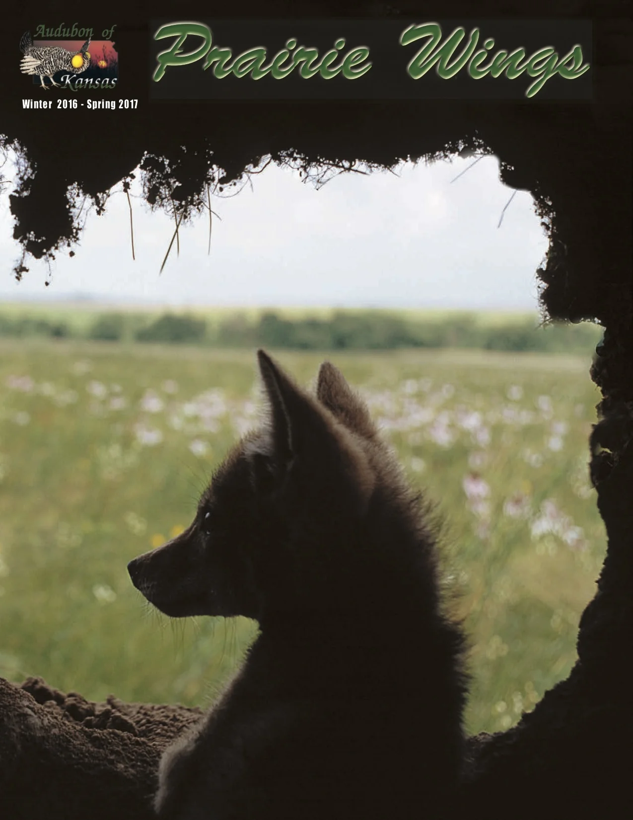 Prairie Wings Winter 2016 Spring 2017 cover.jpg