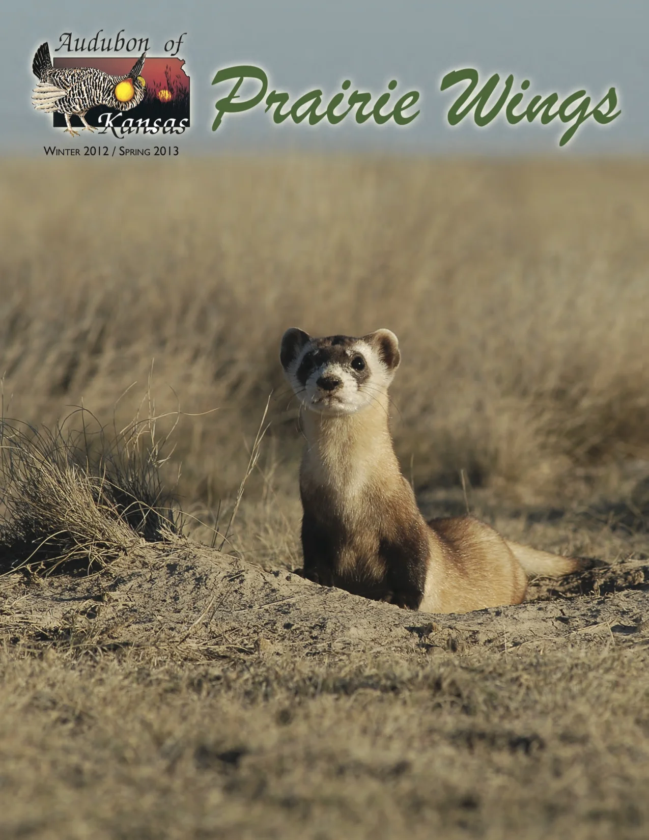 Prairie Wings Winter 2012 Spring 2013 cover.jpg
