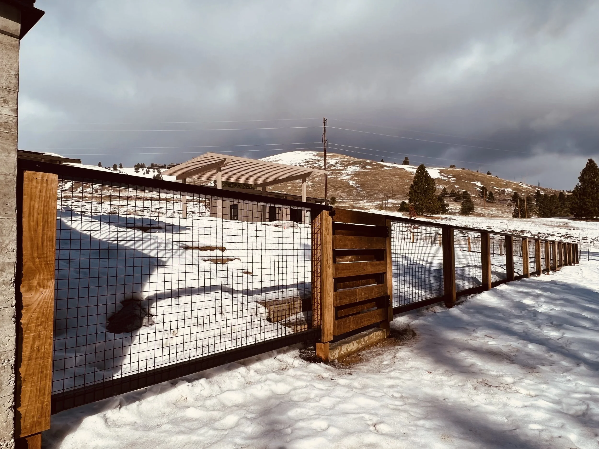Castle Pines_Fence_1.jpg