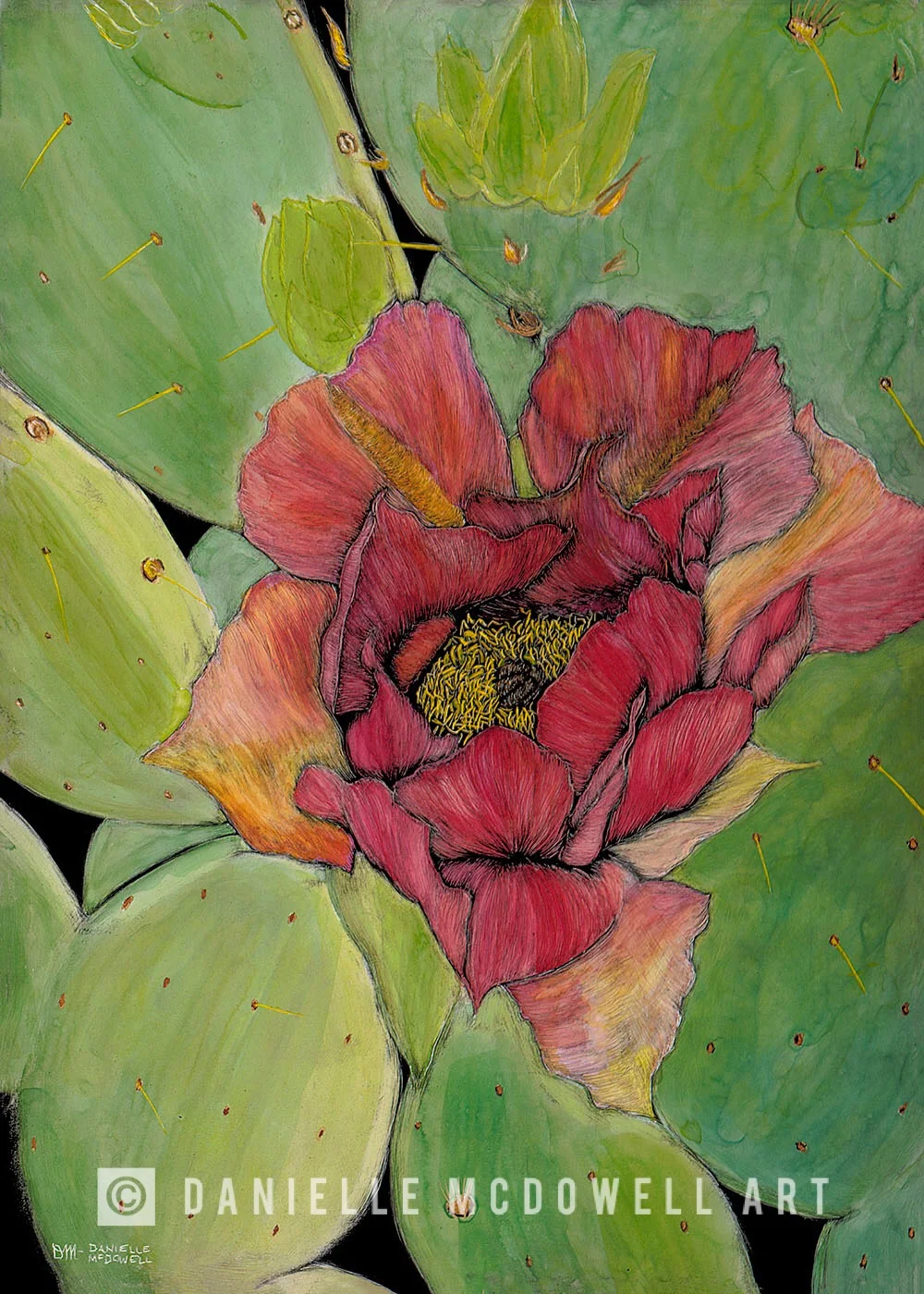 PRICKLY PEAR