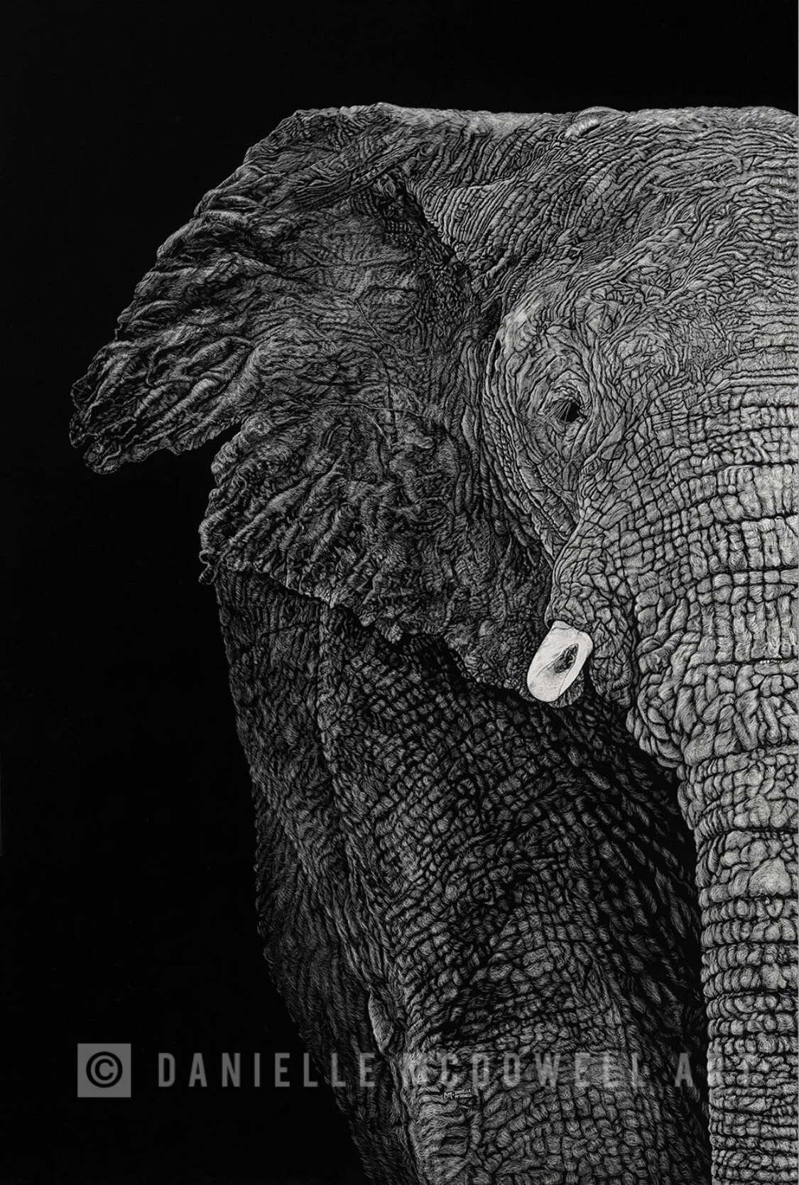 53730C25-E38C-46D4-BA61-CE6AC68CE92E