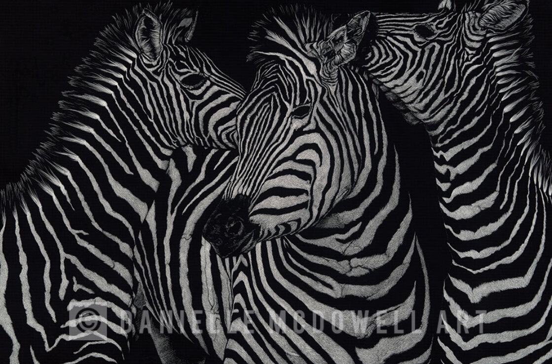 66396059-A8EB-4515-8A94-CD7F23AA6031