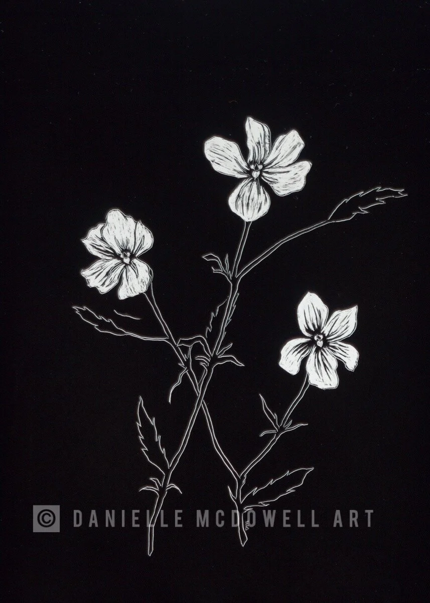 17A3385D-0CFF-4BC6-ADCB-246C5BA97B27