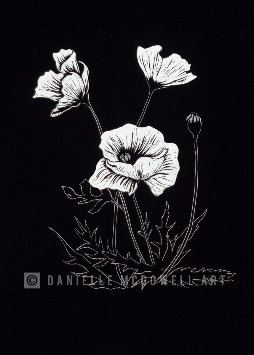 BF0D0765-CFF6-4902-8909-0B5F7F313DA8