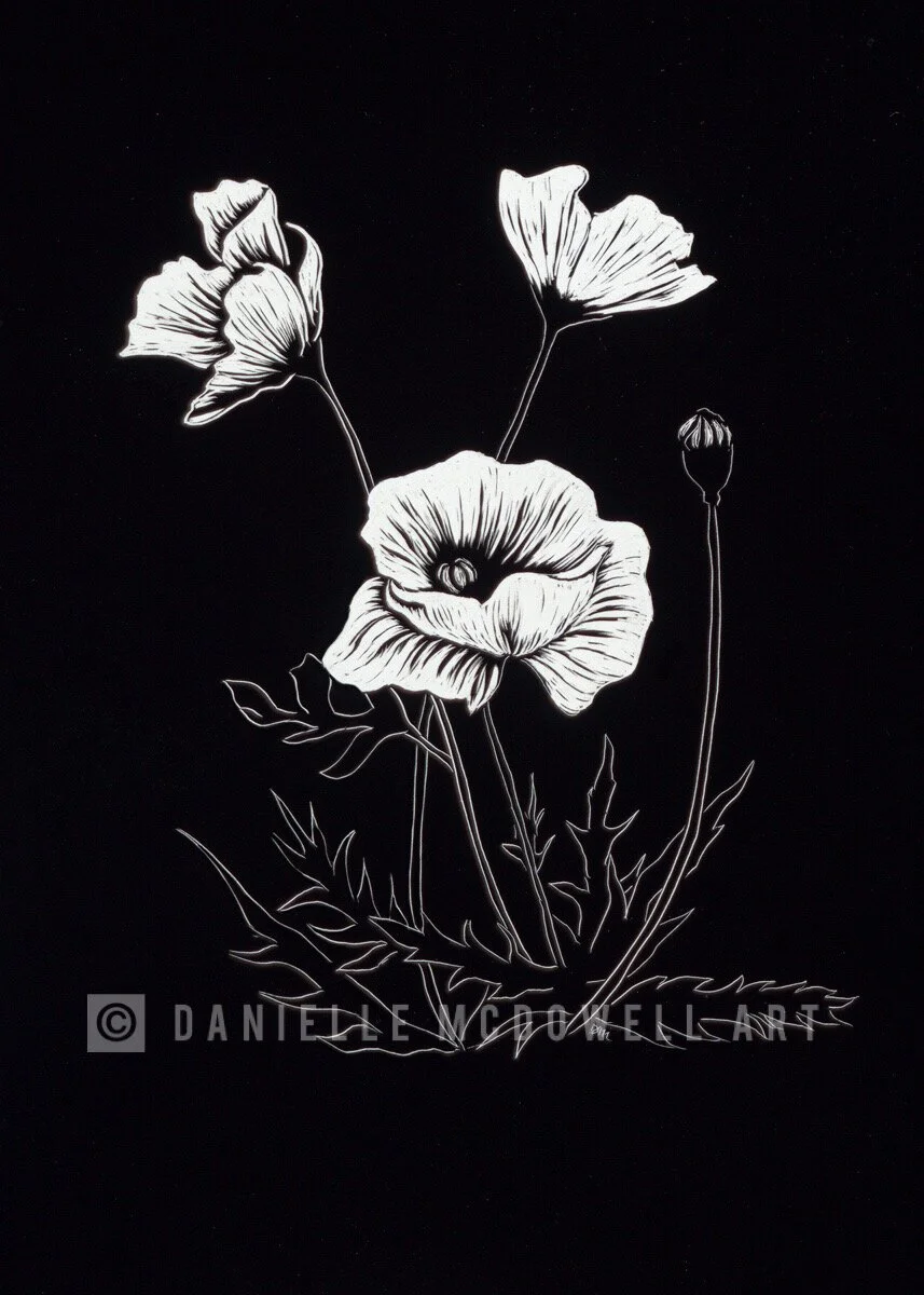 1E2712E4-841A-44F0-9F61-A266208C18BF